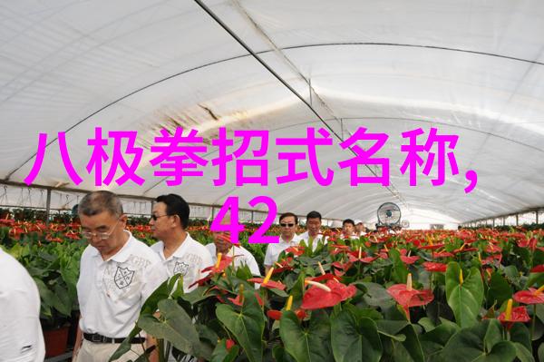 中国现在最厉害的门派是不是李式太极拳