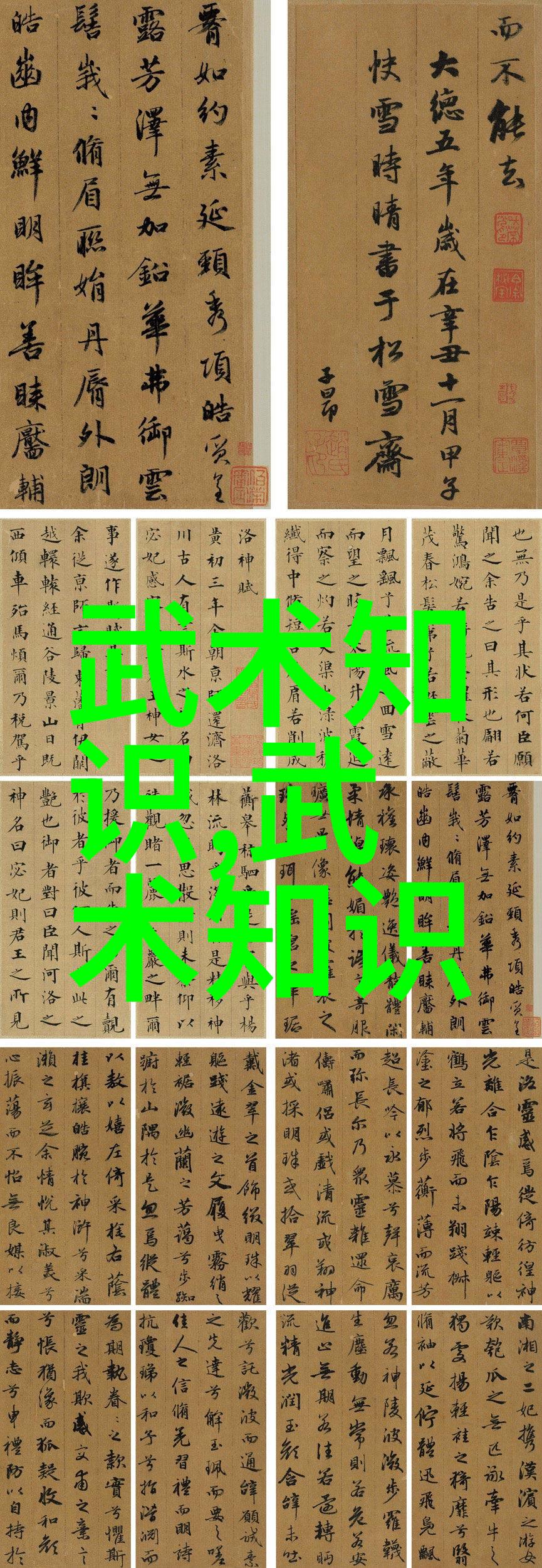 武术活动名称大全-古今武林秘籍揭秘各派绝学
