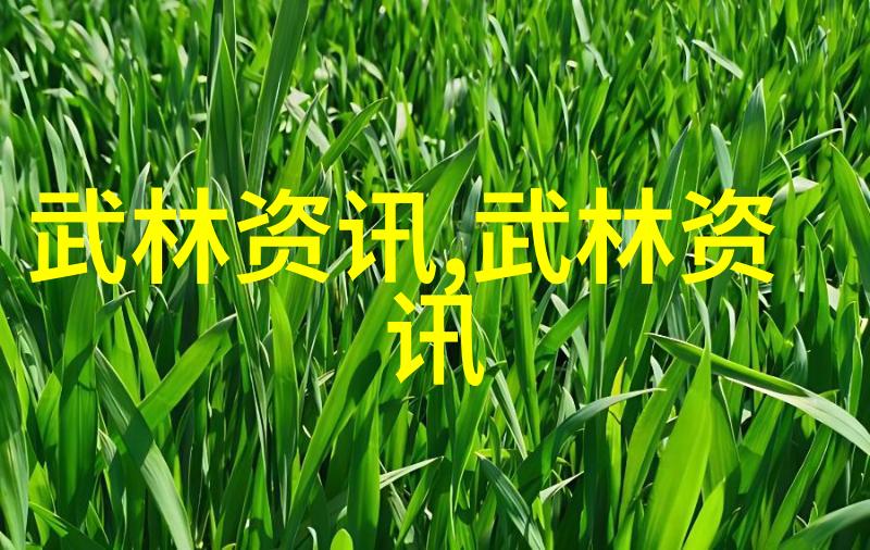 中国修真门派二指禅社会中的真实存在与修炼之道