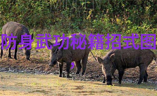自然陆合拳横练功夫排名