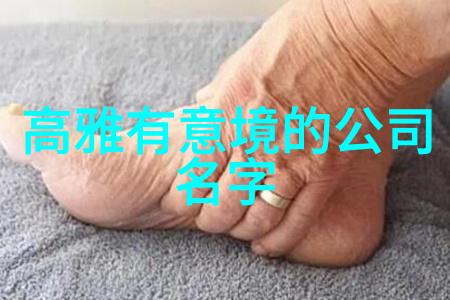 天赋格斗术秘籍掌握精湛的近身战技巧
