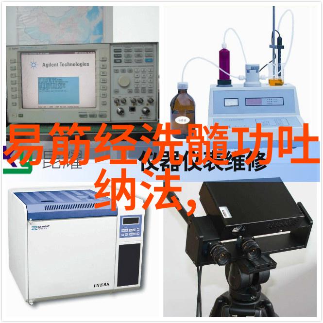 太极武学之美揭秘24式动作的艺术魅力