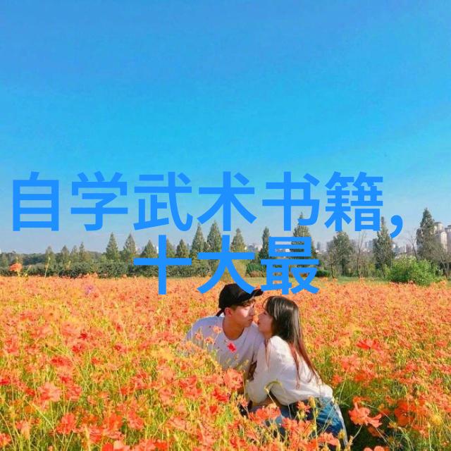 中国武术门派大全中华武学传承大系