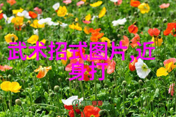 穿越小说里的美好宗门探索那些令人心动的修炼之地