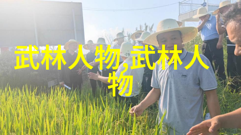 自己在家练武术的教程揭秘我是如何每天坚持不懈地提升武艺的