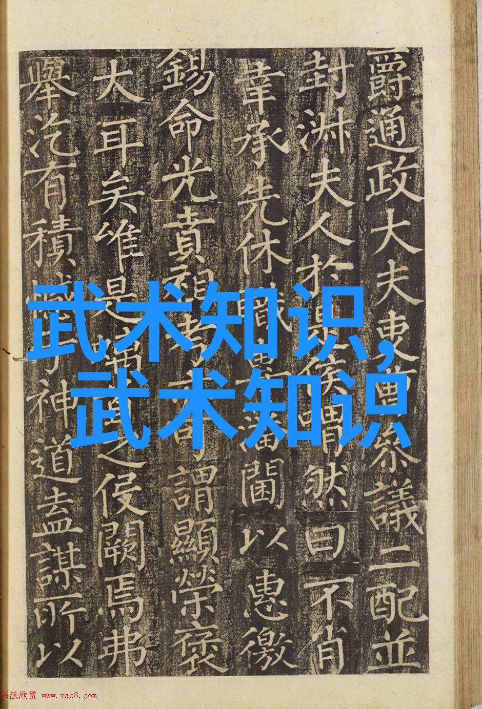 中华武学宝库十大剑法的传说与实践