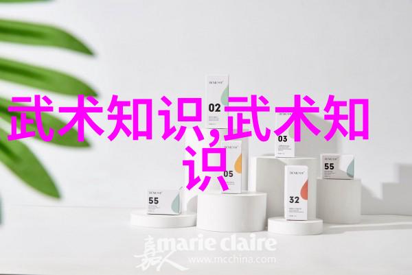 中国武术探秘亲自体验中国30个武术门派大全