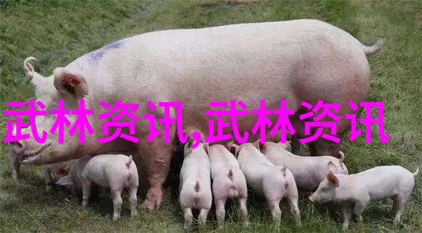 宗门的琴音幻想小说中的美妙之地