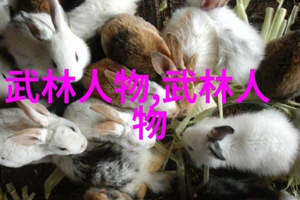 拳法初学者常见问题解答