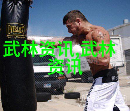 武林资讯河北张家口如同古代武林大会举办2019首届迎冬奥全国武术大会