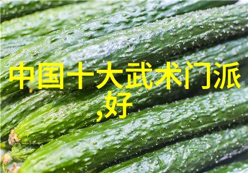 武林高手必备古代武功秘籍排名有何玄机