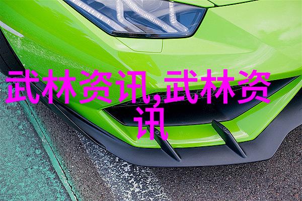 中国武术巅峰揭秘最强十派的源流与魅力