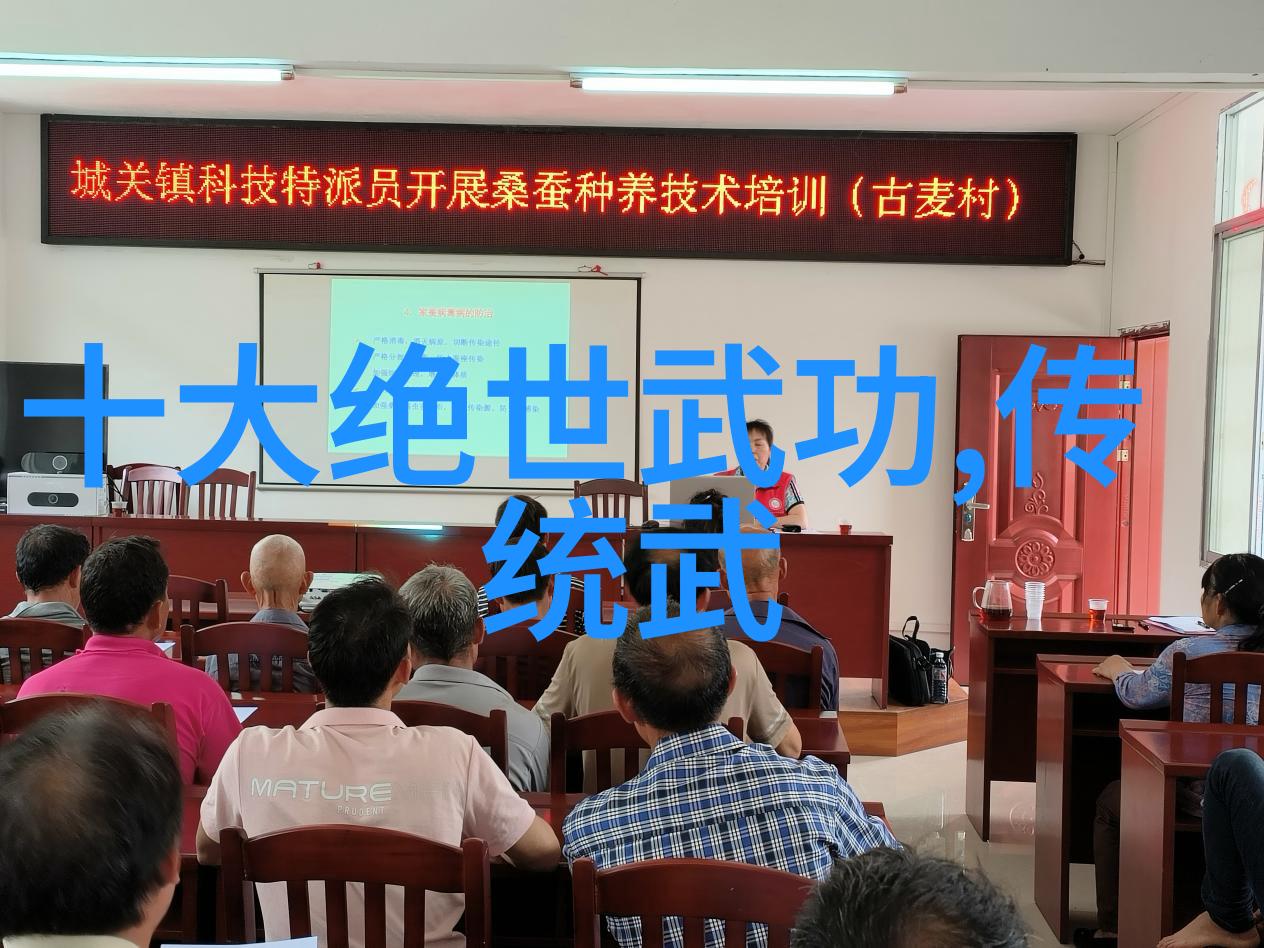武侠世界-悟道篇揭秘基础武功秘籍的修炼艺术