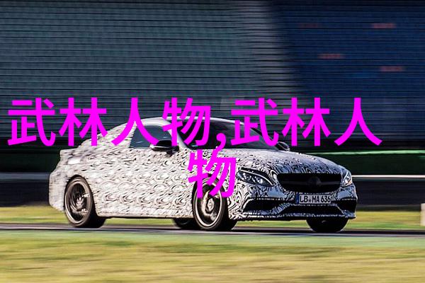 父亲的支持老查韦斯与儿子共同拼搏的拳击之旅