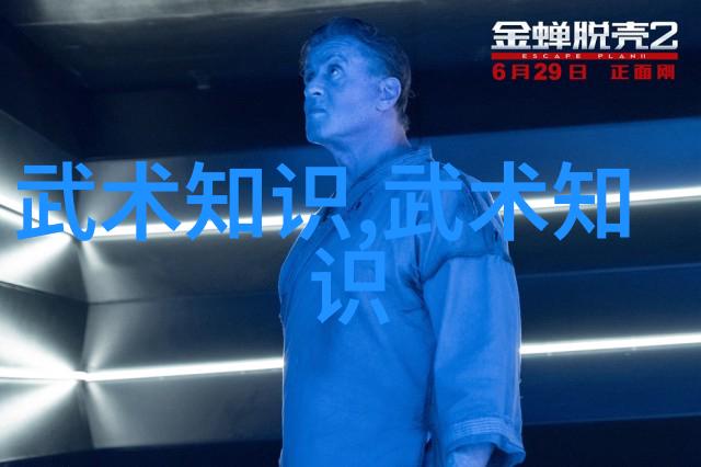 武侠世界 - 金庸笔下绝世神功排名揭秘武林中最强的秘籍