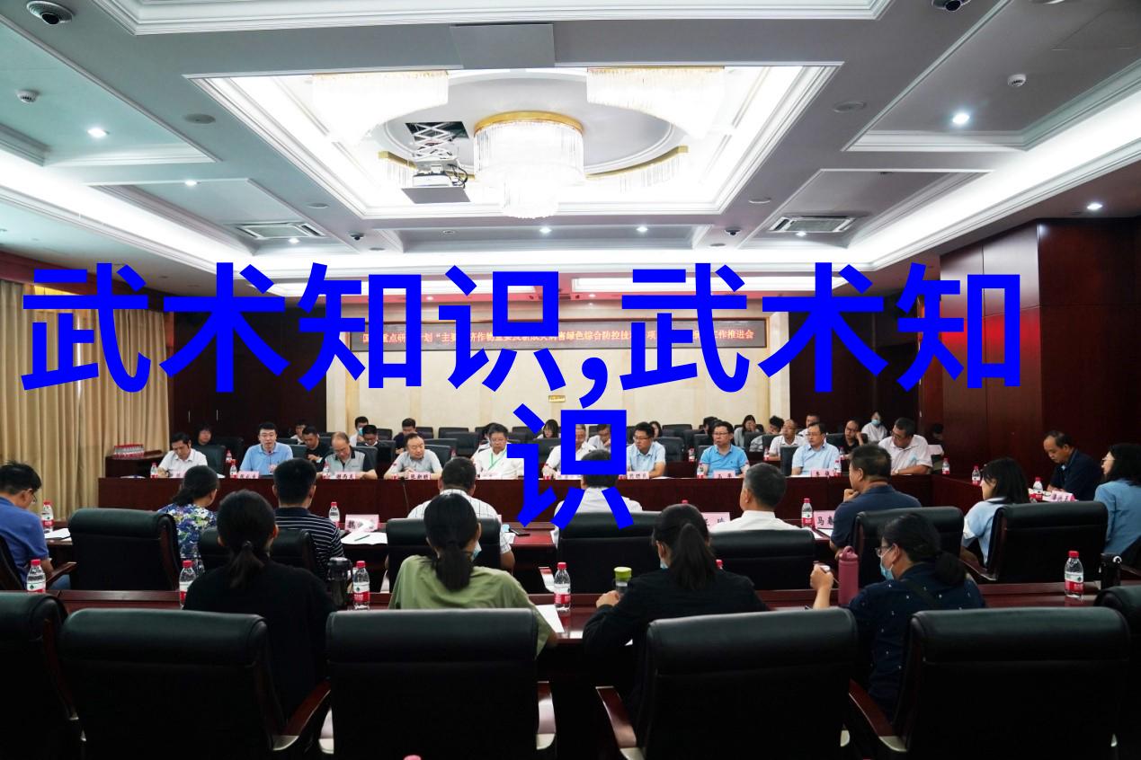 太极拳技巧-掌握简易24式太极拳基本招式与节奏