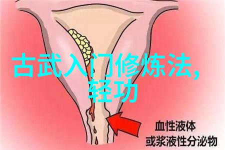 太极拳24式慢动作详细解析太极拳的内在精髓与练习技巧