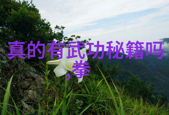 为我播放点播心情我是如何用音乐陪伴自己度过难关的