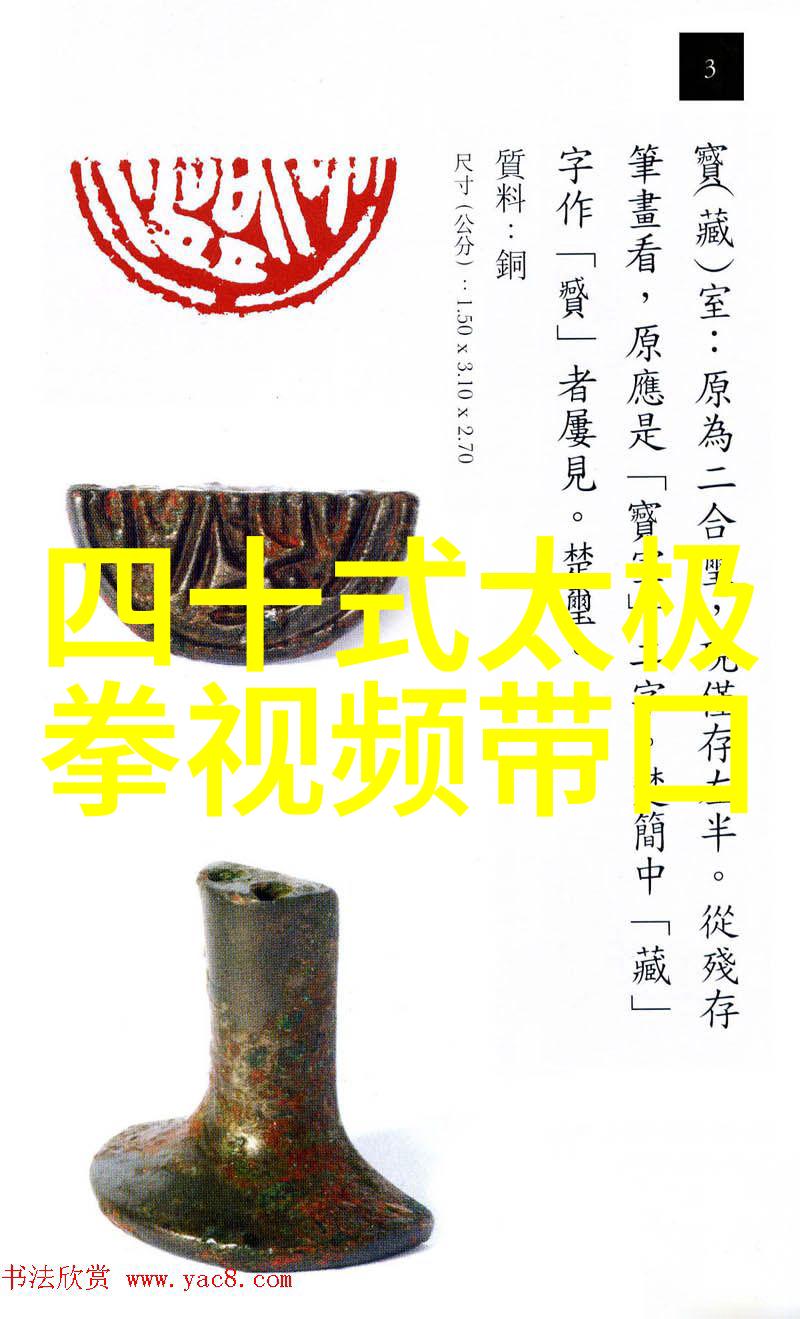 太极拳24式每一式图解视频教你我如何轻松学会这门古老武术