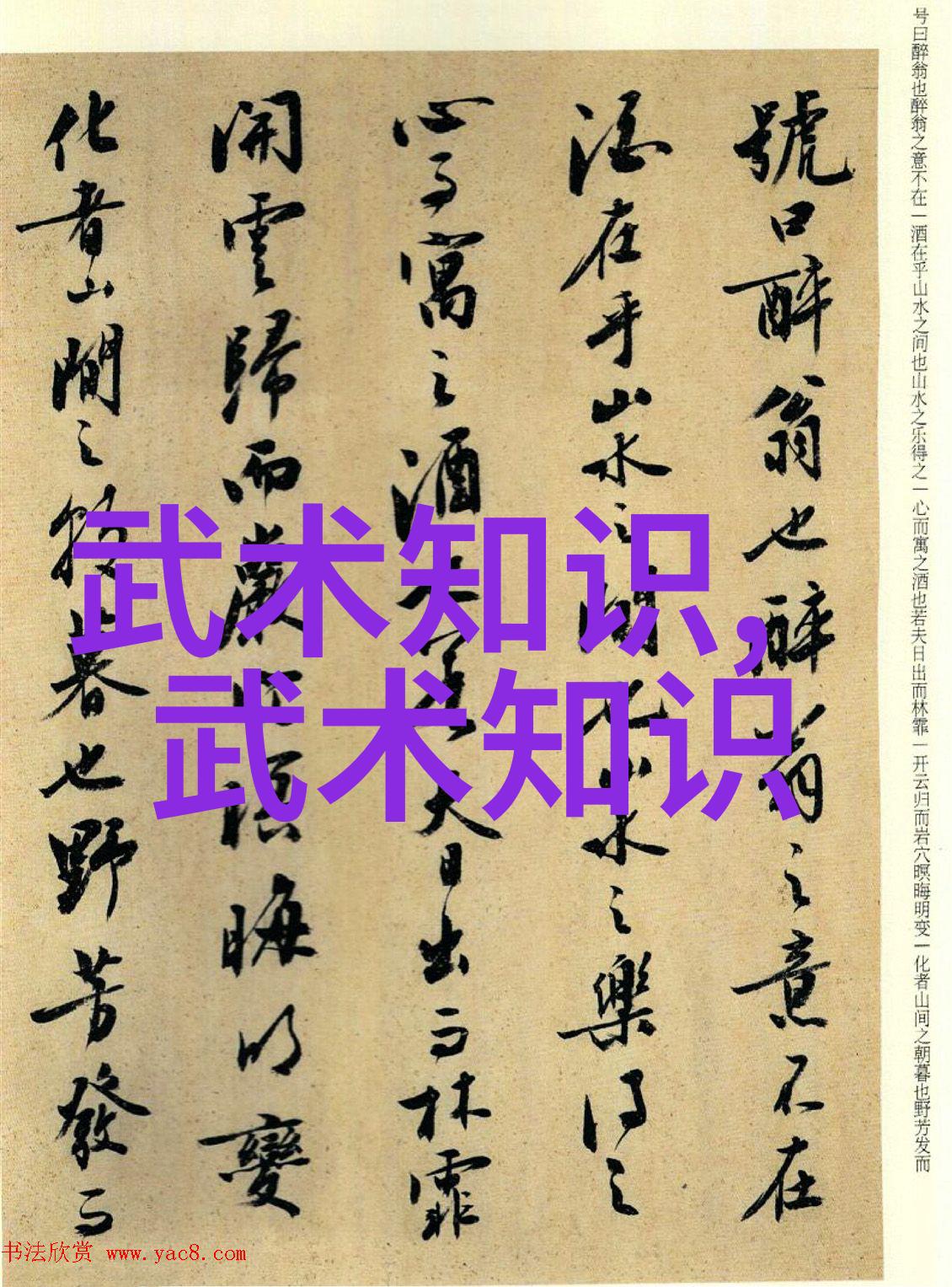 从基础到高级如何系统地提升自己的中华拳法水平