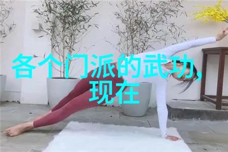 少林最厉害的拳法 - 金鸡独立解密少林武学中的绝技