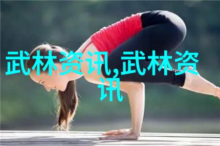 中国武术十大门派之谜揭秘古老武林的传统与变迁