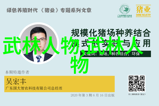 功夫大全秘传招式与拳法技巧