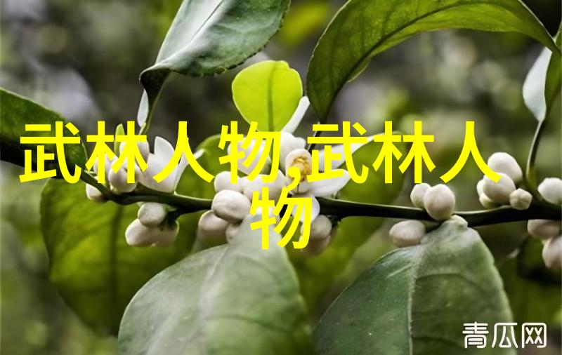 尝鲜小视频新功能探索社交媒体创新