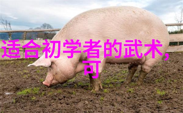 探寻天涯客栈帮派的真实面目是什么
