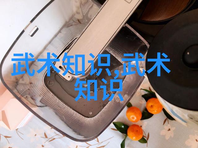 武技精粹拳法之谜解锁