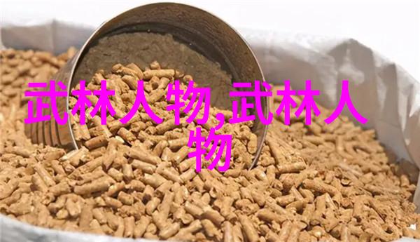 武林秘籍解密功夫修炼指南内含基本功法与高级招式