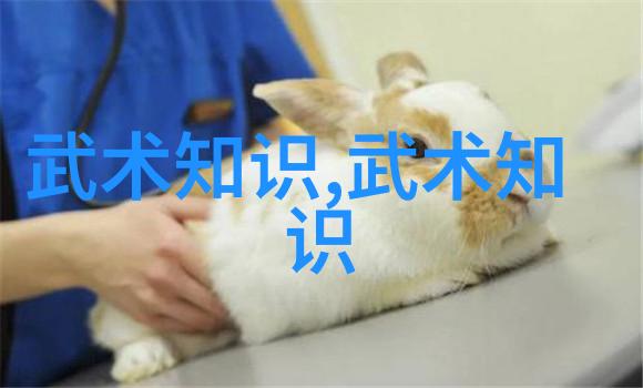 古风仙盟七星螳螂拳传说中的招式源自古老的门派流传至今