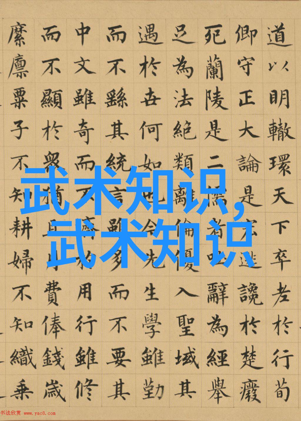 武术宝典集粹揭秘中华武林的精髓与艺术