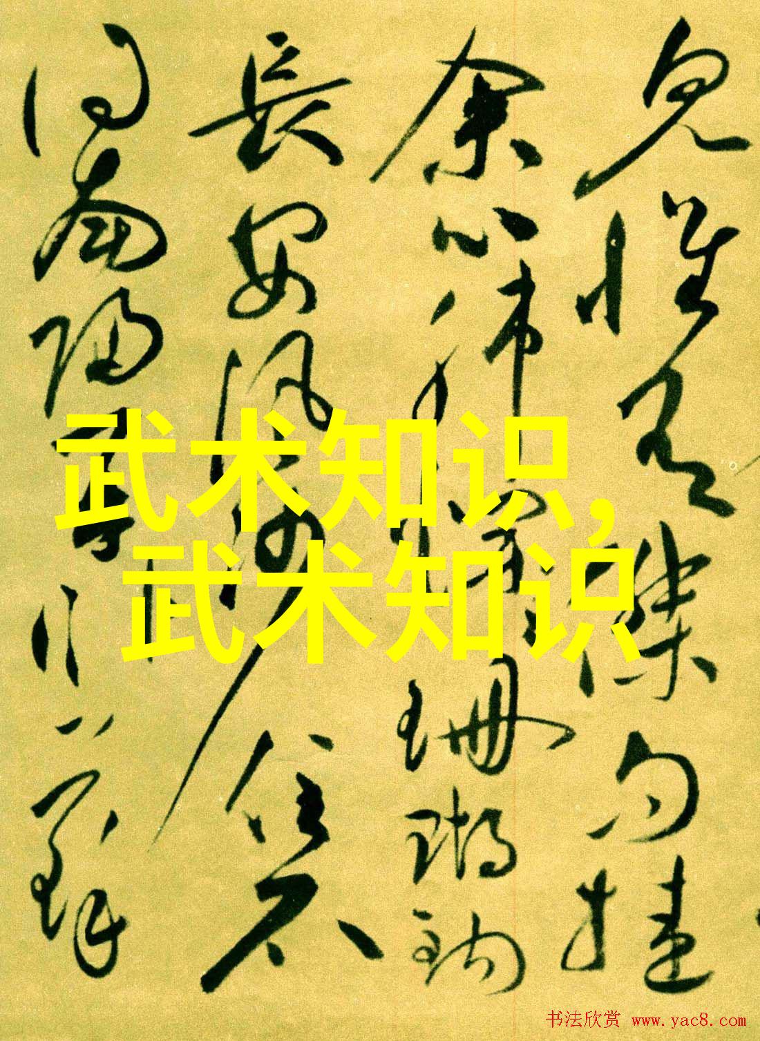 武林绝学揭秘探索千年武道的巅峰之术