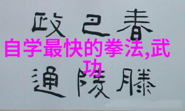 武林巨派探秘太极门的深远影响