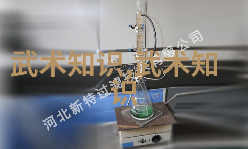 奇幻世界-天籁之音征服者的和声势力