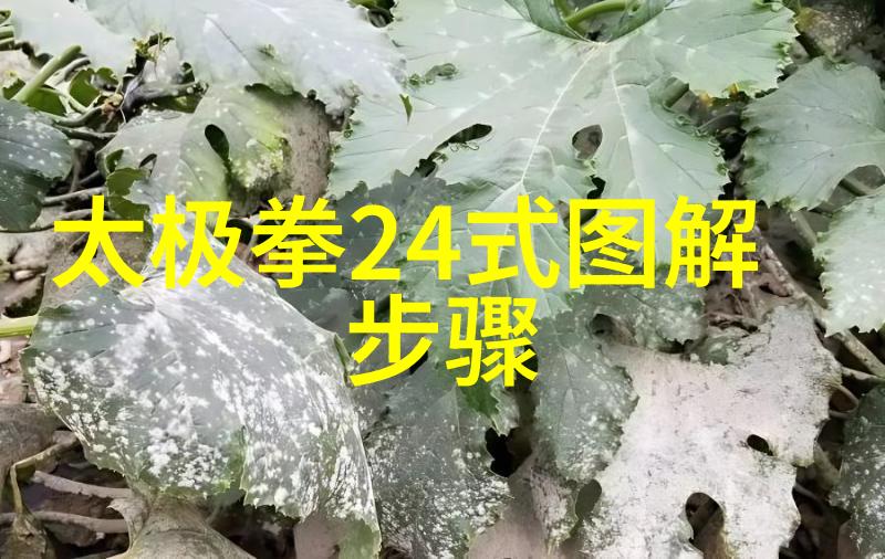 古代武功秘籍揭秘谁的刀法能超越天劫