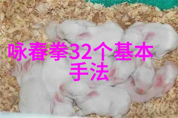 帮派名字大全你真的知道这些秘密组织的真实面目吗