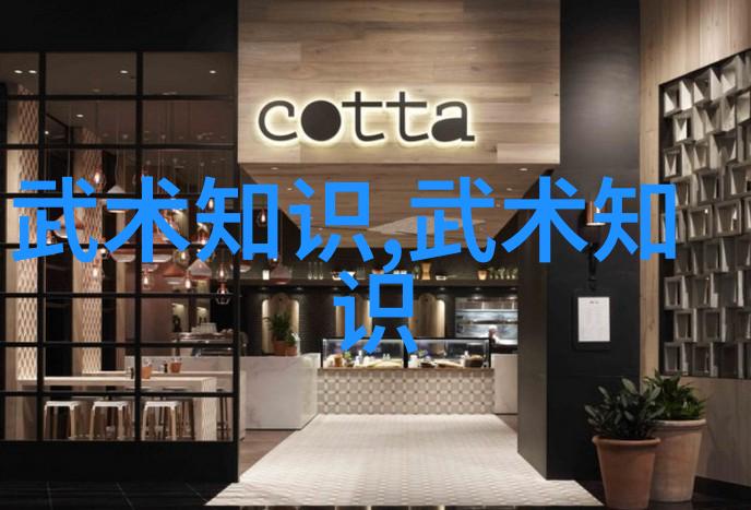 门派拳种中国意拳展现社会古朴高雅的店面