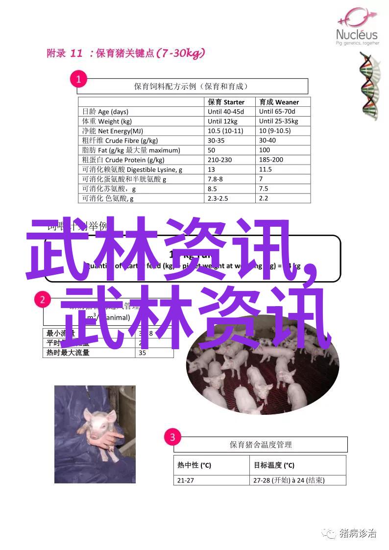 霸气十足的帮派名字 - 霸主风云录