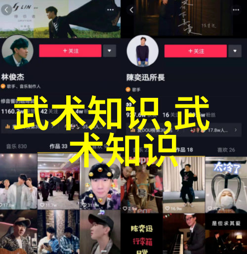 力挽狂澜引领时代变迁李小龙功夫教学视频对后世影响
