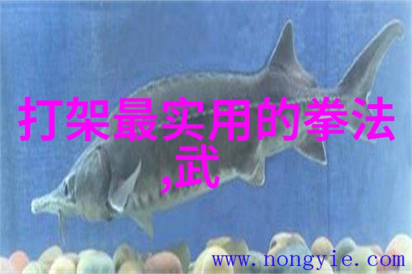 主题我慢慢学到的那个有力的C