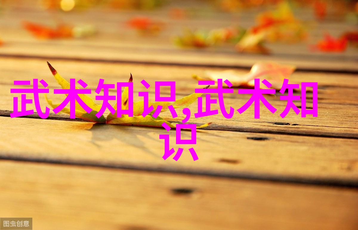 武术与哲学中国传统武术拳法的内在道德价值