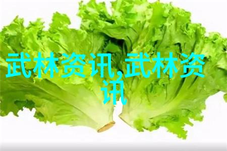 金庸小说武林门派江湖中兴盛的武学门派