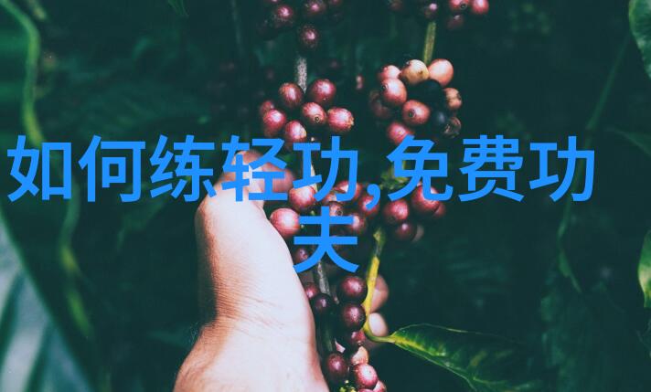 老武术书籍中的太极拳推手秘笈揭秘走粘技巧跟随张宝银学习古法练功