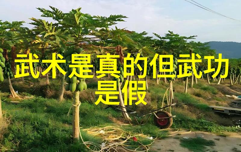 高科技驱动下的医疗器械创新与应用