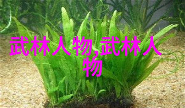 徐晓林解析太极拳内劲与推手技巧如何快速掌握轻功秘诀