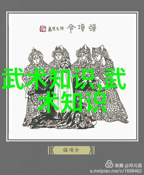 杨式大架中架小架武功秘籍图谱