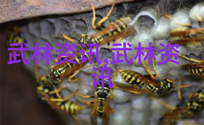 绝世神门探秘顶级宗门的传说与命名艺术