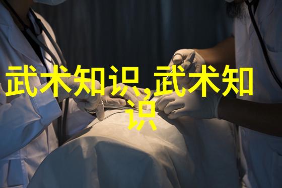 实战性最强的十大武术亲测揭秘哪门武功更适合你